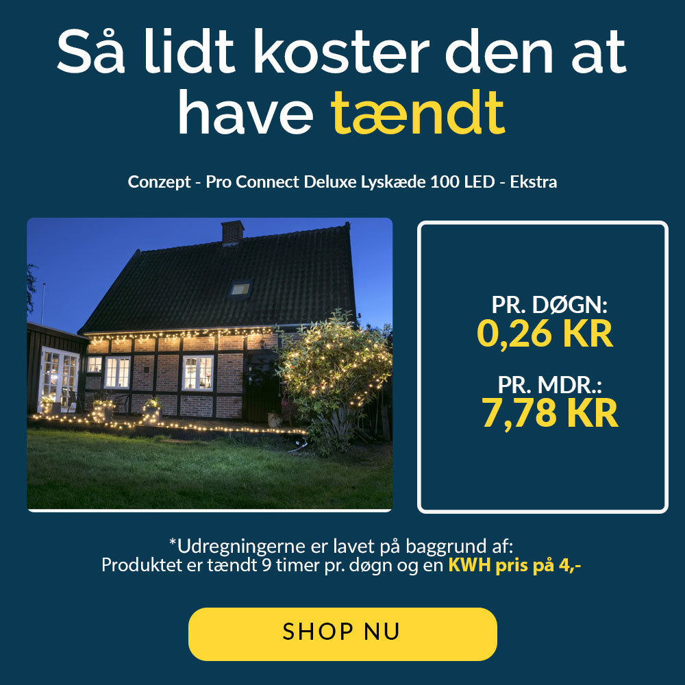 Conzept - Pro Connect Deluxe Lichterkette 100 LED - Extra