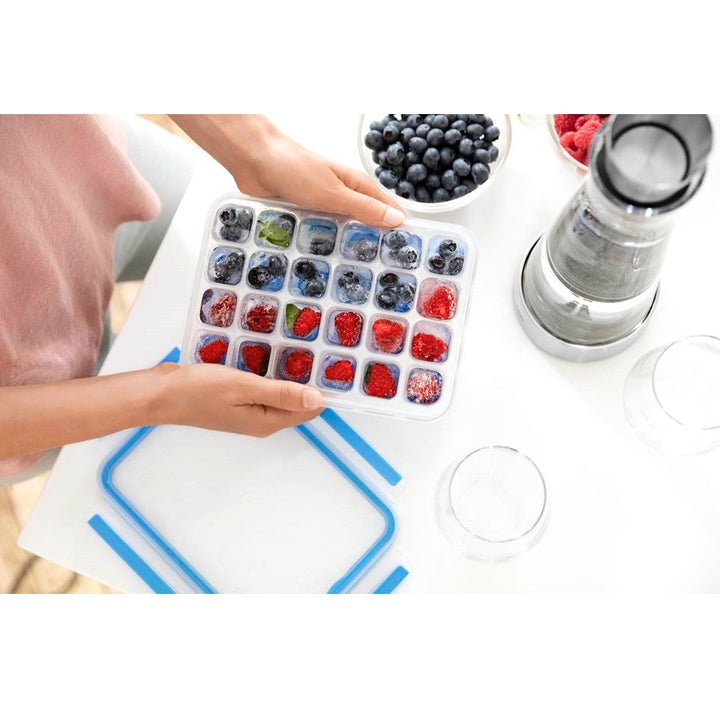 Tefal MasterSeal FRESH Kühlbox