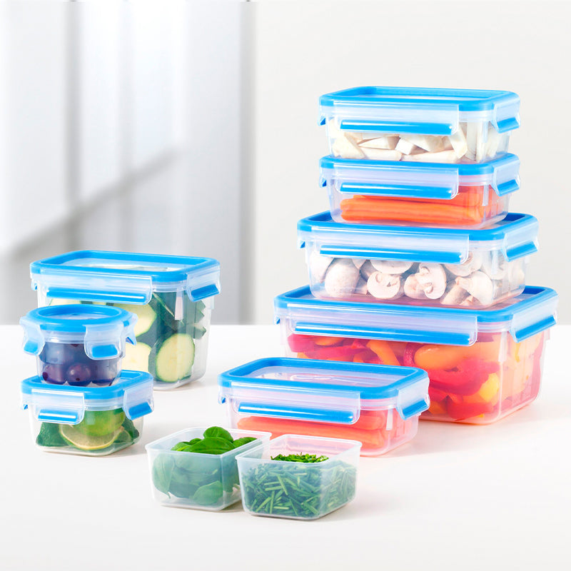 Tefal MasterSeal FRESH Box 3,7 l.