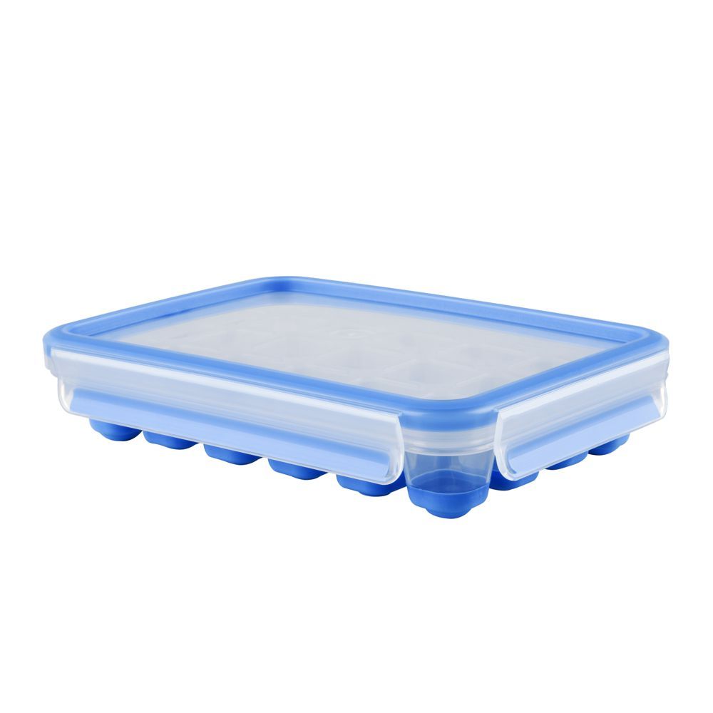 Tefal MasterSeal FRESH Kühlbox