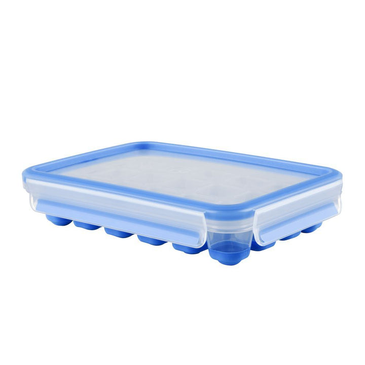 Tefal MasterSeal FRESH Kühlbox