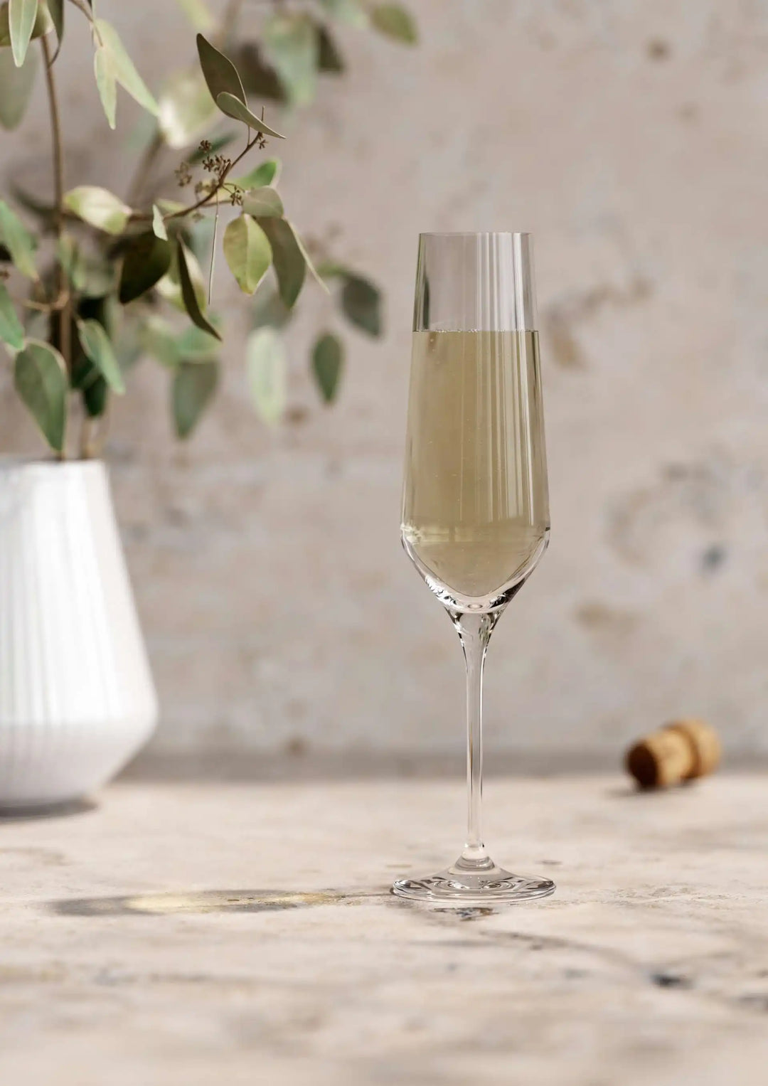 Eva Solo – Legio Nova Champagner-Weinglas, 6 Stück, 26 cl