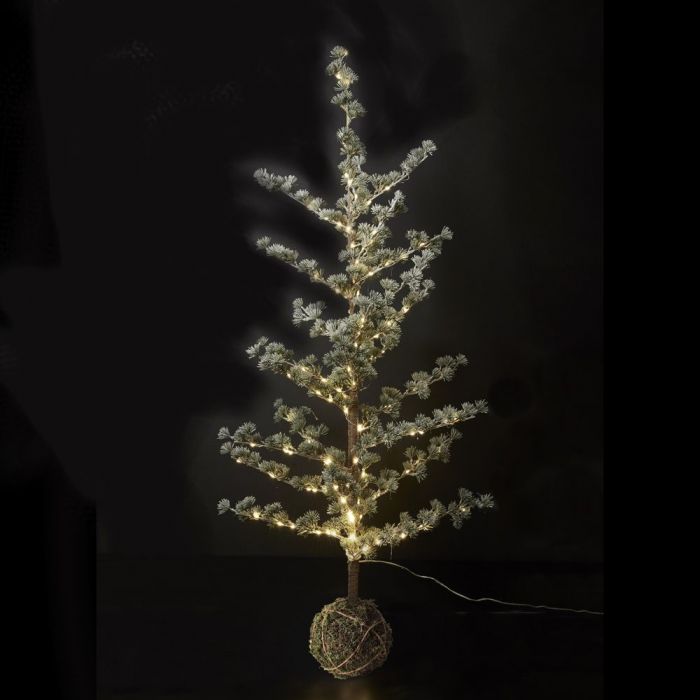 Dacore - Zeder mit Lichterkette - 65 cm