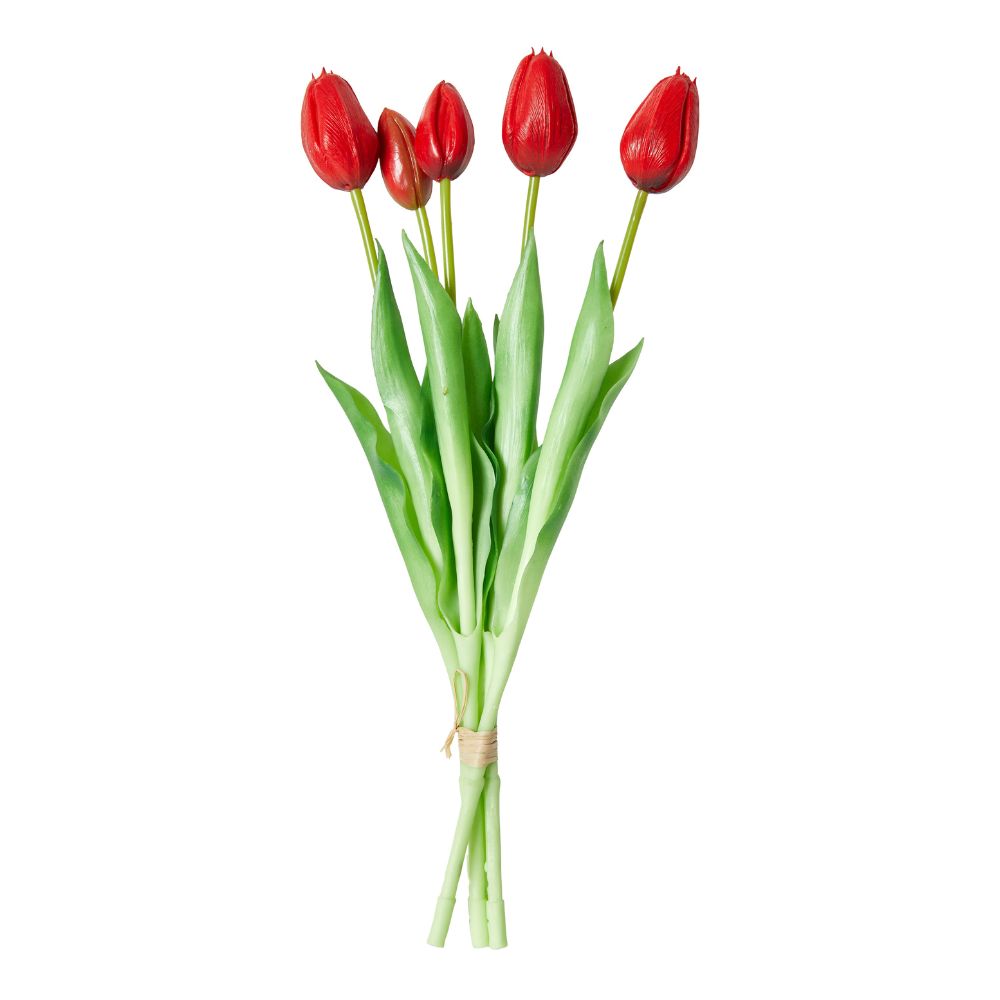 Boeket tulpen 5 stuks 39 cm rood