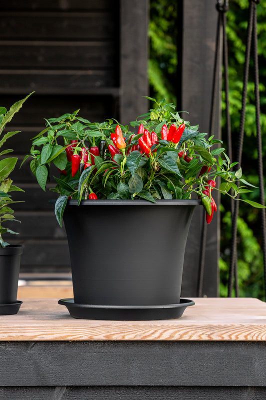 Orthex - Botanica Pflanztopf Ø40 cm Recyceltes Schwarz