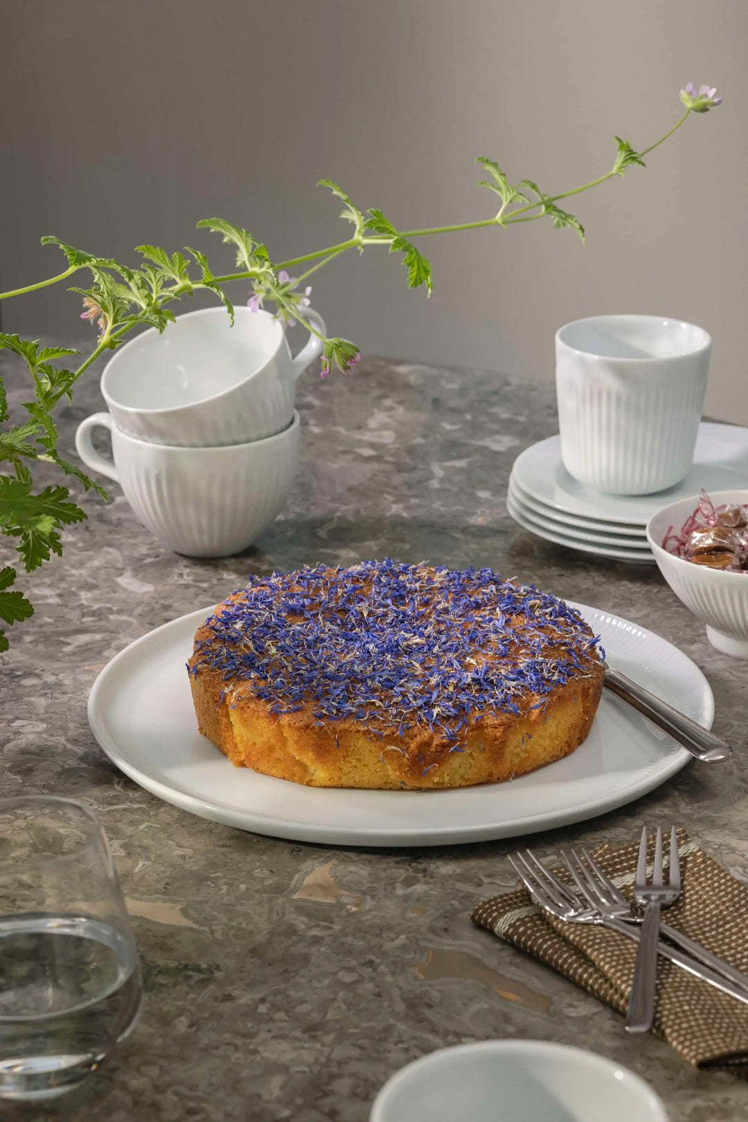 Eva Trio – Legio Nova Pizzateller, 4-teilig, Ø 31,5 cm, Porzellan, Weiß