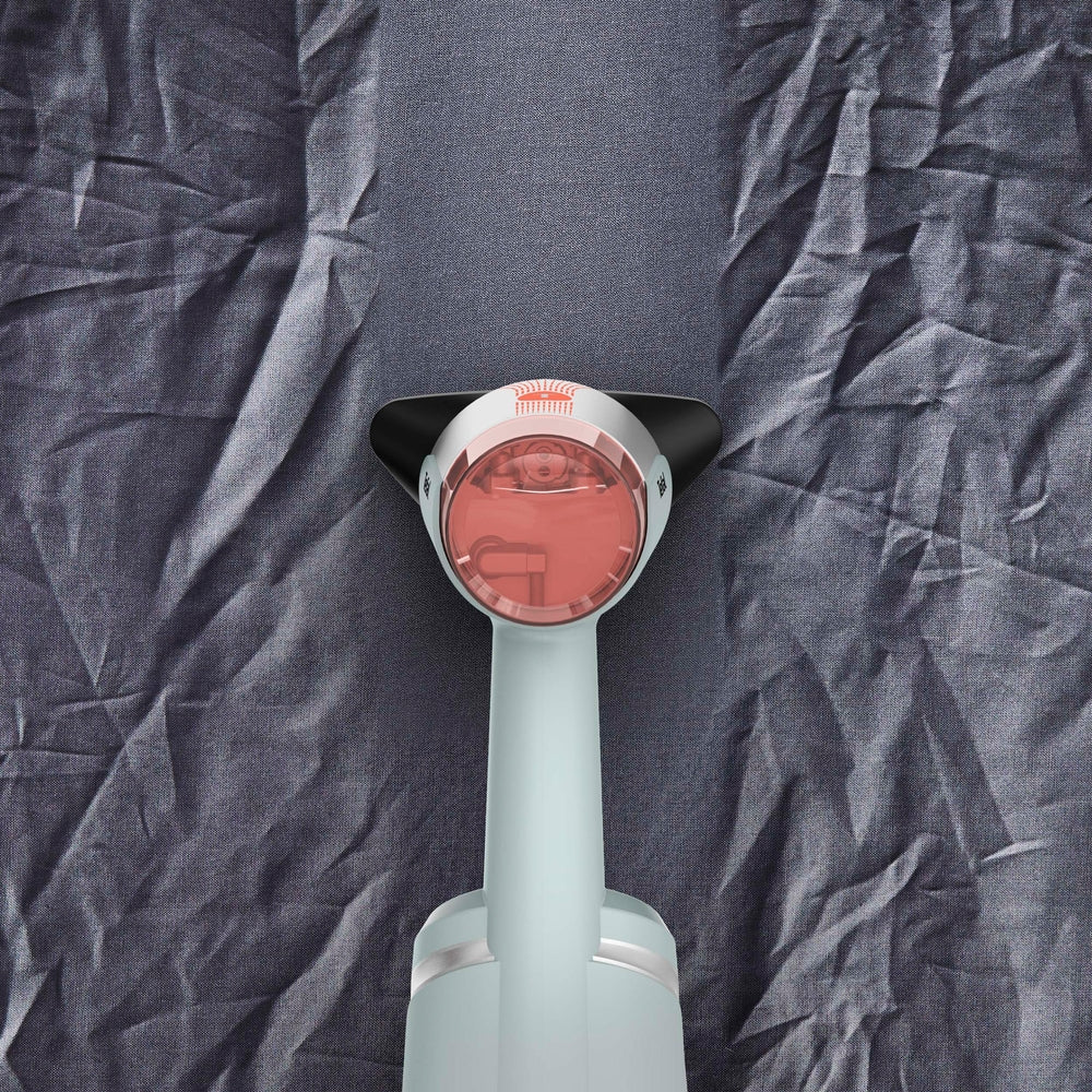Tefal - Dampfglätter Aerosteam Eukalyptus