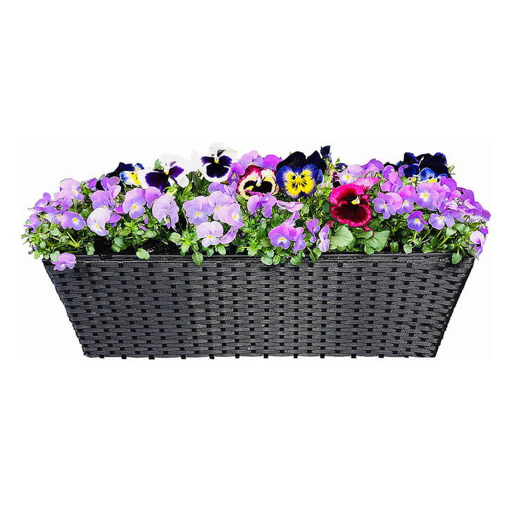Dacore - Balkonbox 60 cm - Schwarz