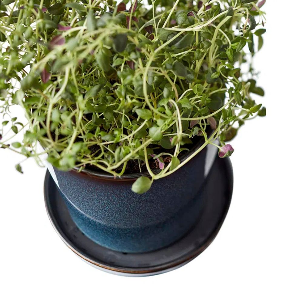 Bitz – Blumentopf versteckt 10 cm blau/schwarz