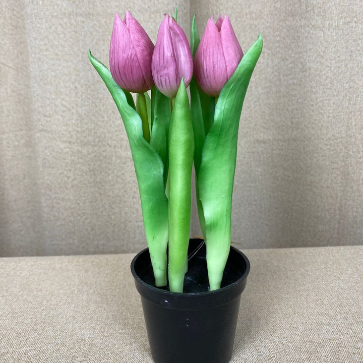 5 Tulpen im 25 cm Topf, dunkelrosa