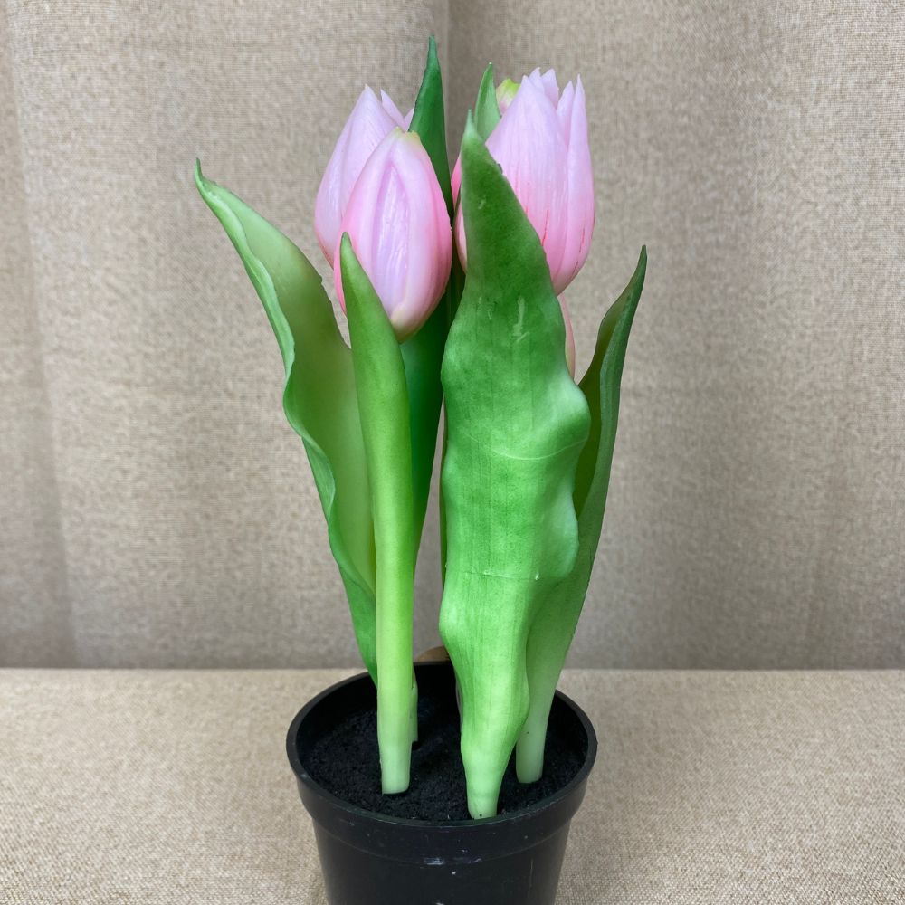 5 Tulpen im 25 cm Topf, rosa
