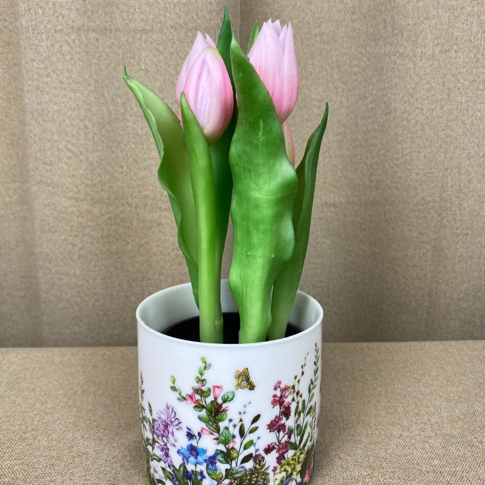 5 Tulpen im 25 cm Topf, rosa
