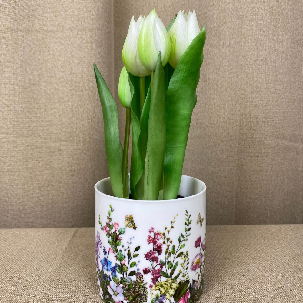 Tulpen, 5 Stück im 25 cm Topf – weiß