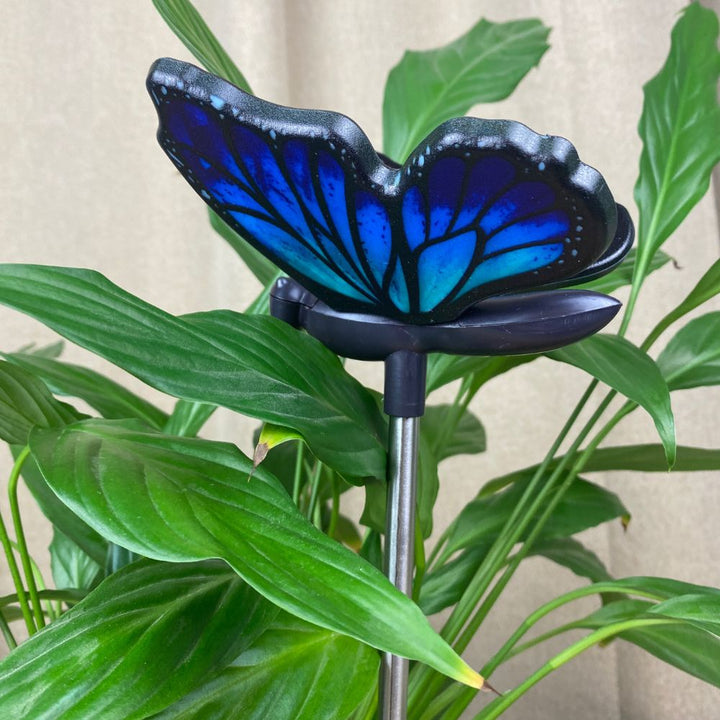 Conzept - Solar-Schmetterling auf Stab 1 Stk. - blau 11x77 cm
