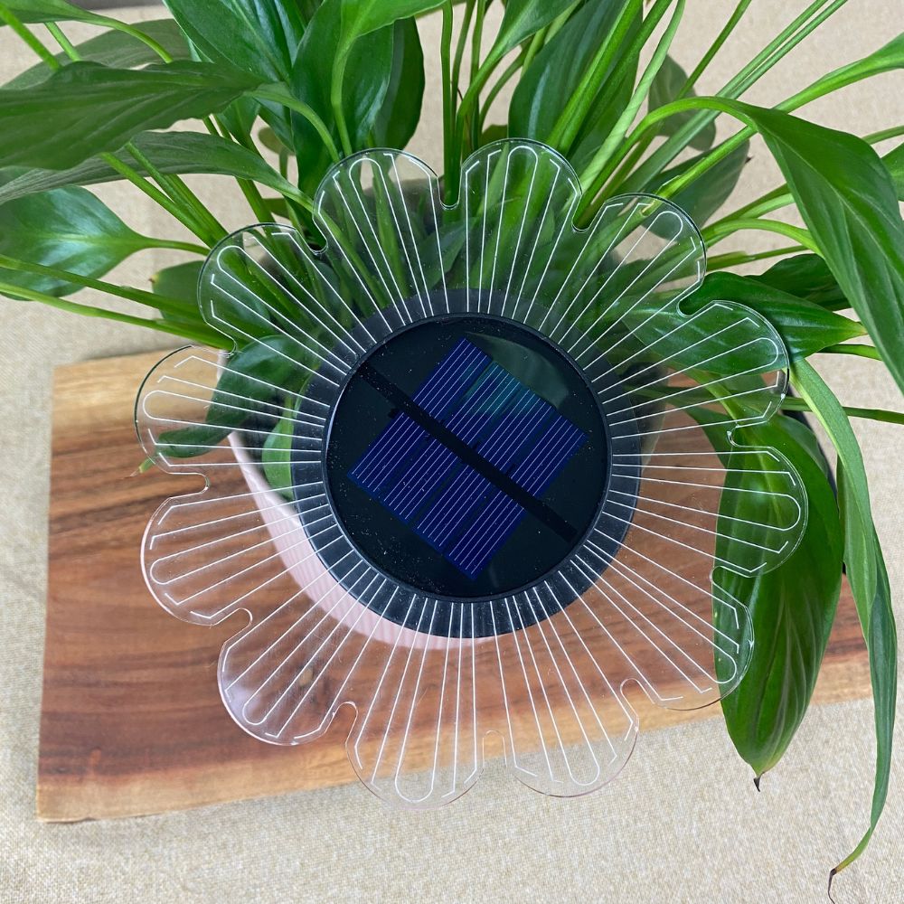 Conzept – Solarlampe für Wand oder Boden Ø15x2,8x14 cm 12 LED