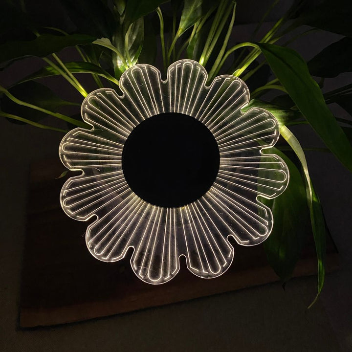 Conzept – Solarlampe für Wand oder Boden Ø15x2,8x14 cm 12 LED
