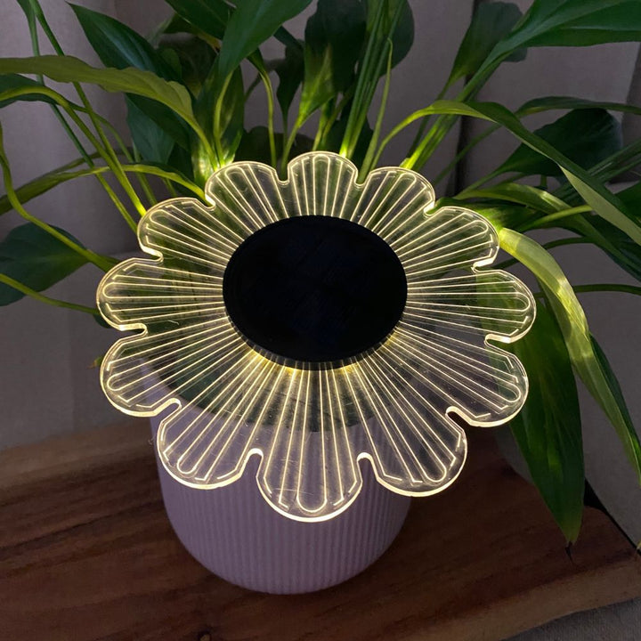 Conzept – Solarlampe für Wand oder Boden Ø15x2,8x14 cm 12 LED