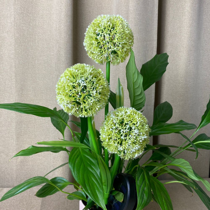 Conzept - Solar-Allium 71 cm 36 LED