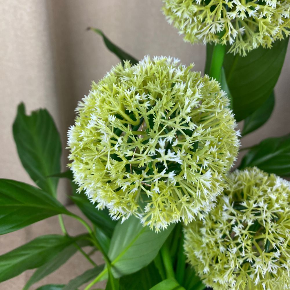 Conzept - Solar-Allium 71 cm 36 LED