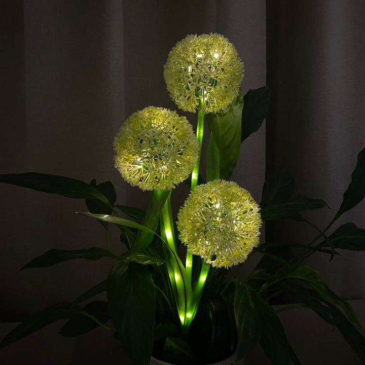 Conzept - Solar-Allium 71 cm 36 LED