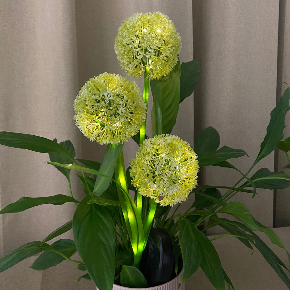 Conzept - Solar-Allium 71 cm 36 LED