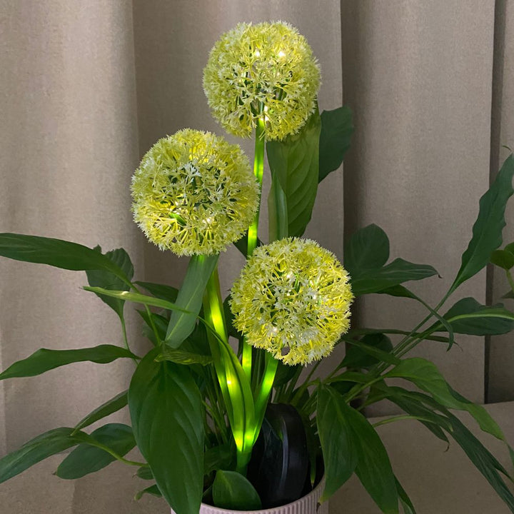 Conzept - Solar-Allium 71 cm 36 LED