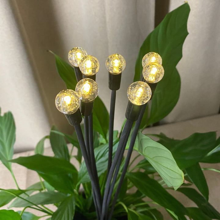 Conzept Solar-Glühwürmchen 8 LED 66,5 cm 2 Stück.