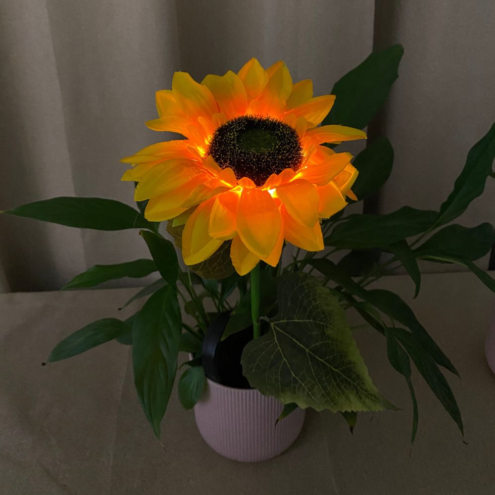 Conzept - Solarblume Sonnenblume 75x46 cm 2 Stück.