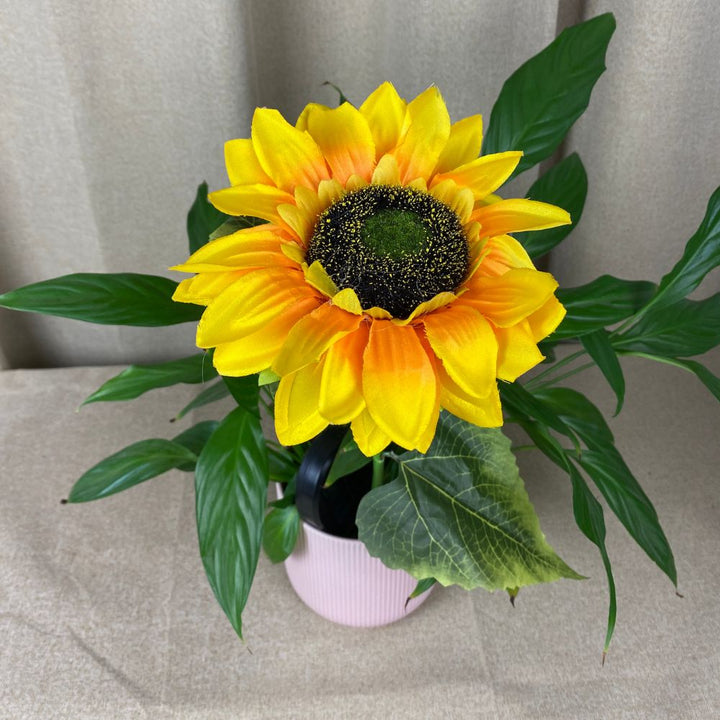 Conzept - Solarblume Sonnenblume 75x46 cm 2 Stück.