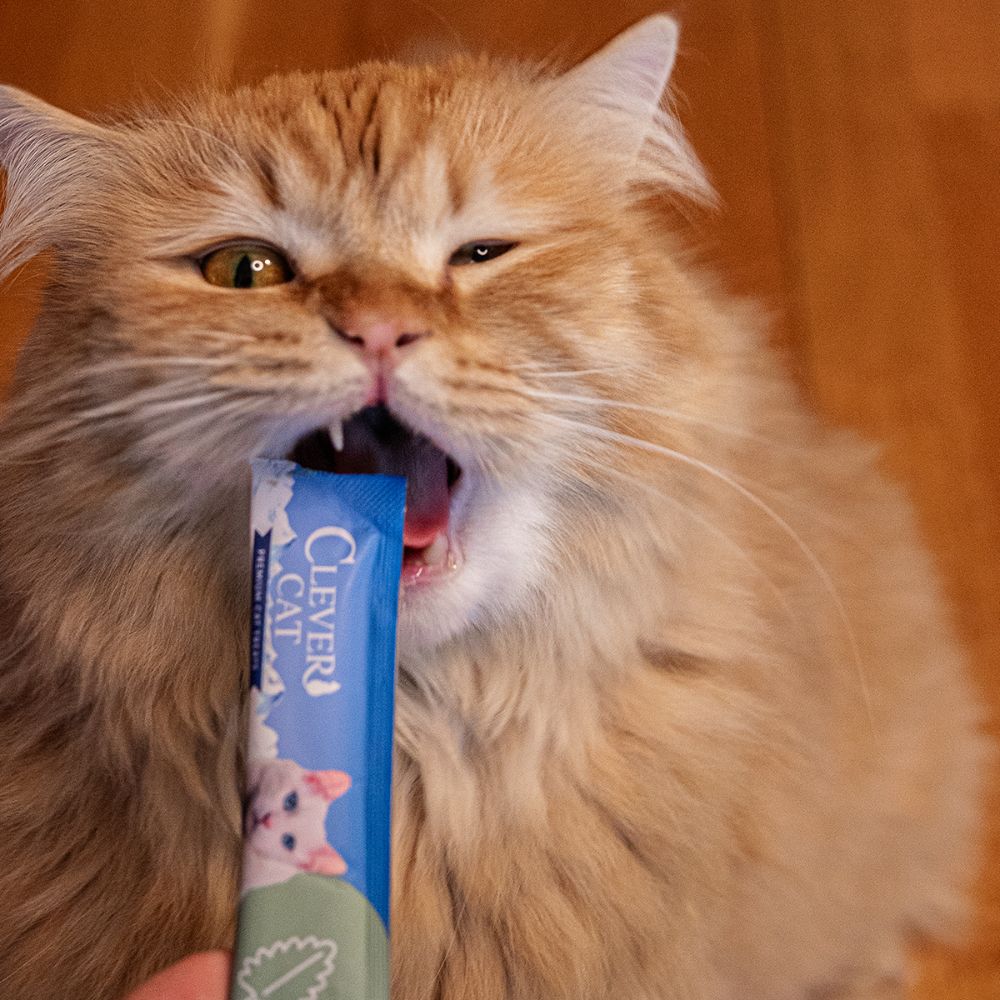 Clever Cat - Flüssige Leckerlis 4 Stk. - verschiedene Geschmacksrichtungen