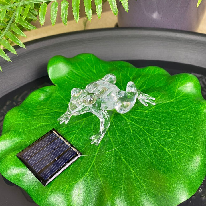 Solar-Lotusblatt mit Samen Ø17 cm