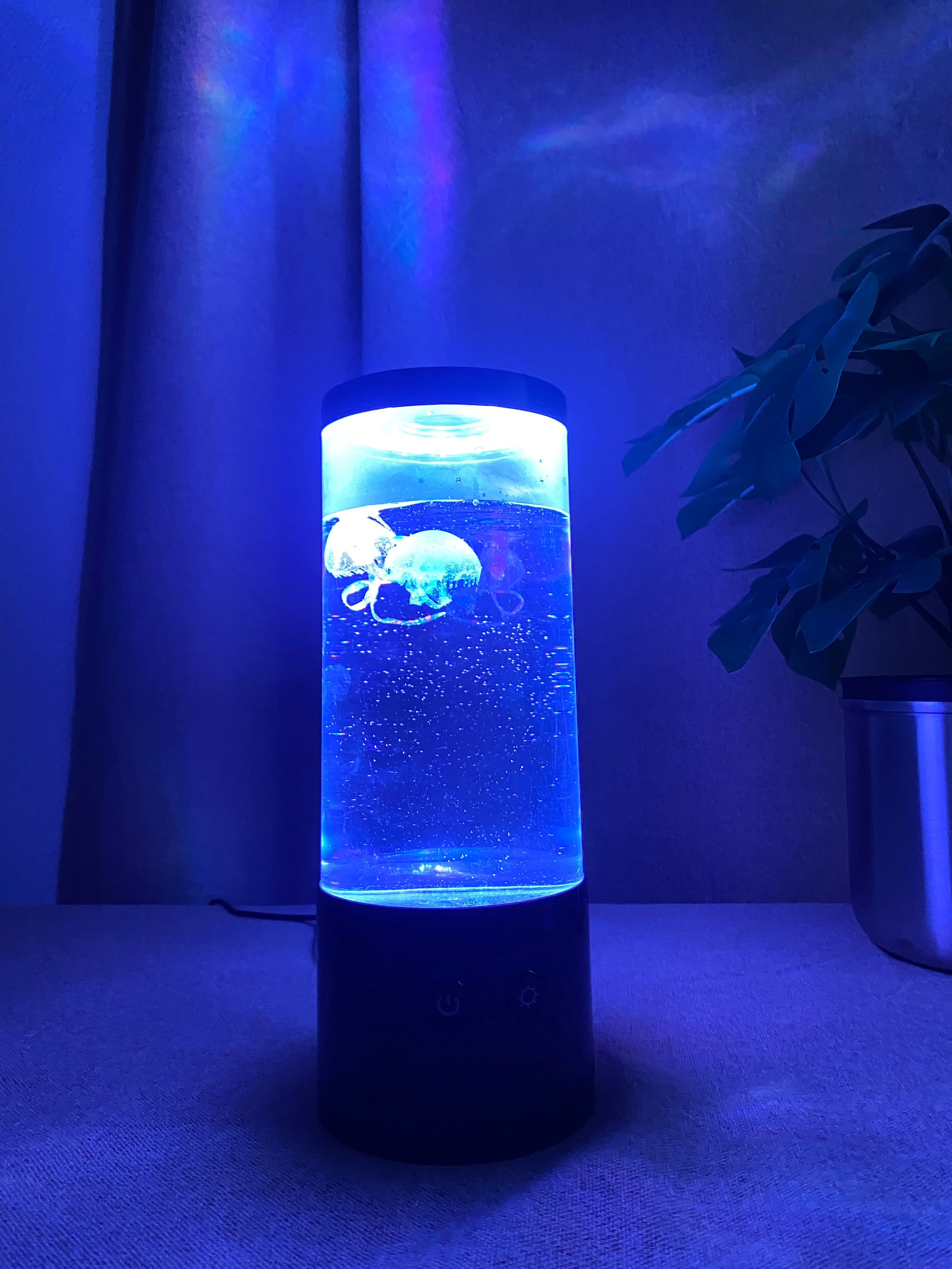 Quallenlampe 9x23 cm, batteriebetrieben, inkl. USB-Kabel