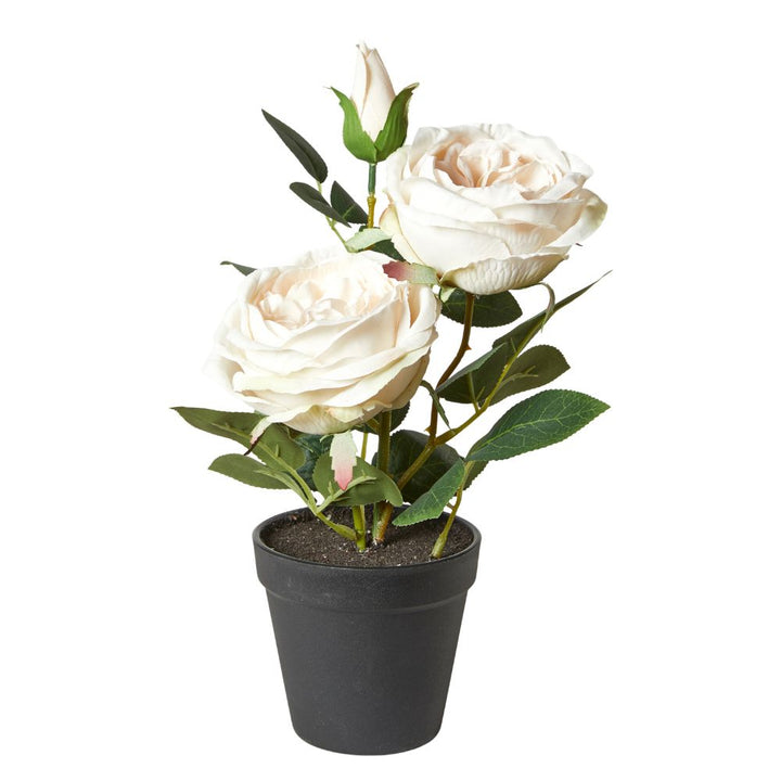 Roos in pot 35 cm polyester/kunststof wit