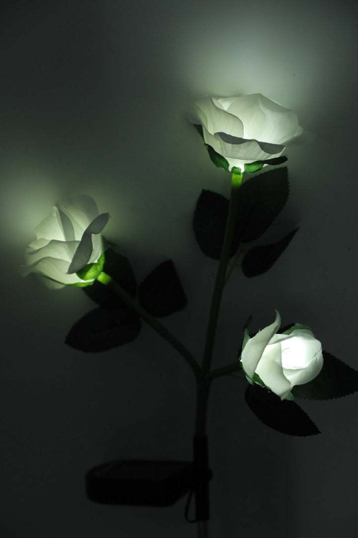 Conzept - Solar Flower Rose 70x45 cm - 2 Stück.