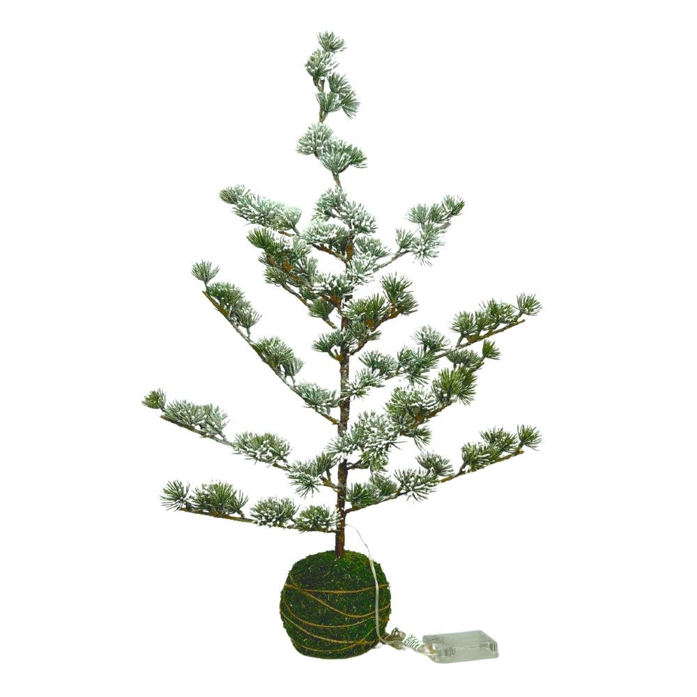 Dacore - Zeder mit Lichterkette - 65 cm