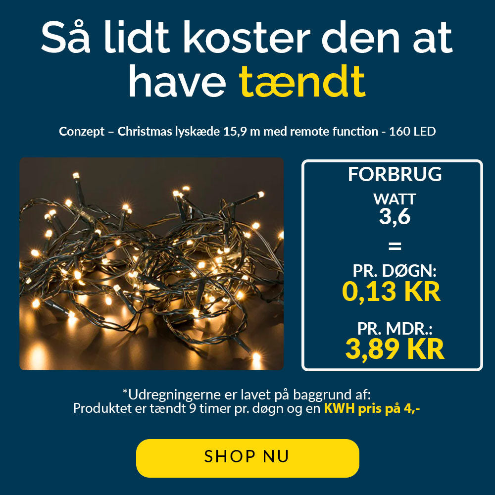 Conzept – Lichtsnoer – Warmwit met afstandsbediening – 160 leds