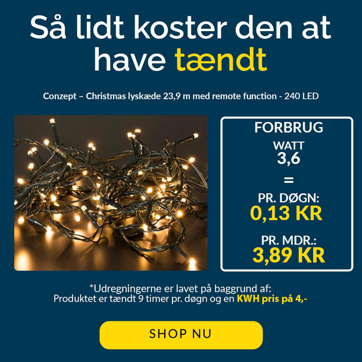 Conzept – Lichtsnoer – Warmwit met afstandsbediening – 240 leds