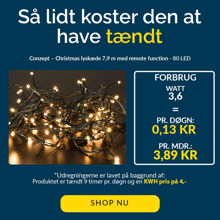 Conzept Christmas - Lichtsnoer met 80 leds - Warmwit met afstandsbediening