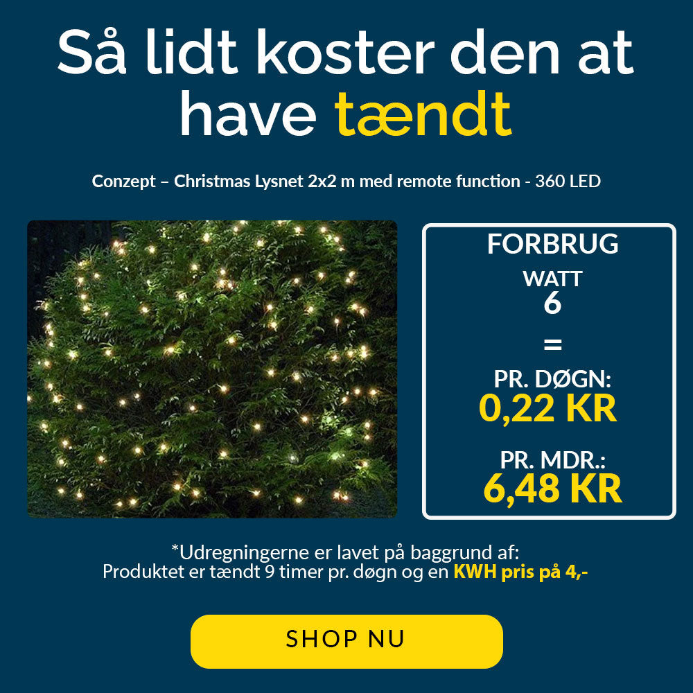Conzept Christmas - Lichtsnoer 2x2 m 360 LED warmwit - met afstandsbediening