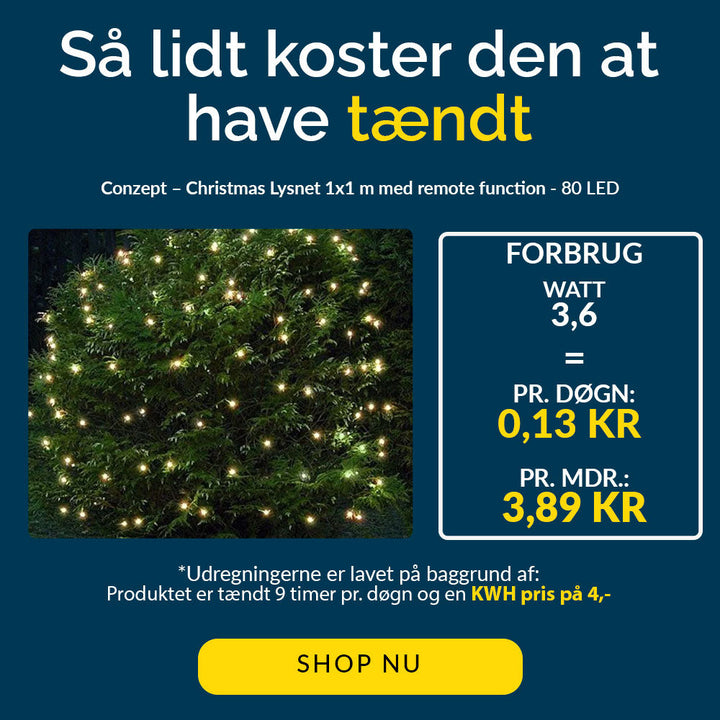 Conzept Christmas - Lichtsnoer 1x1 m 80 LED's warmwit - met afstandsbediening