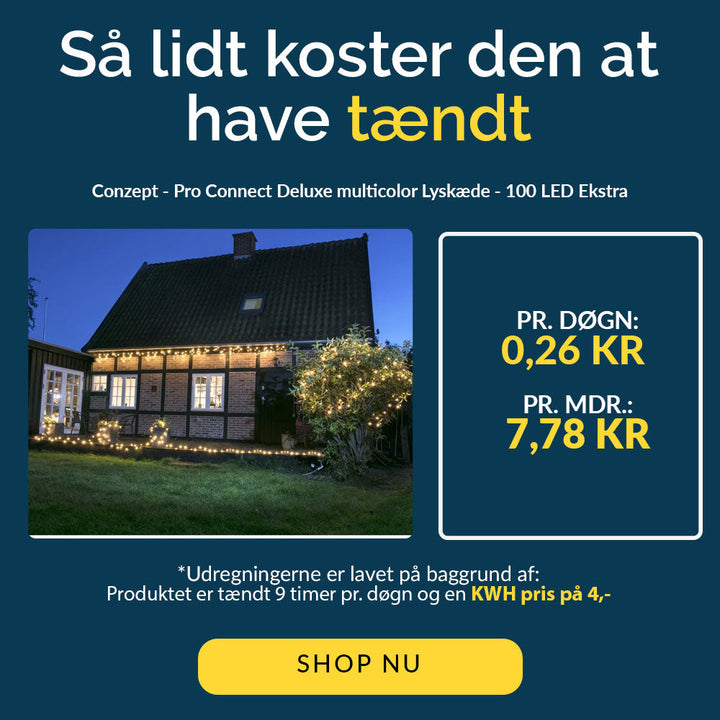 Conzept - Pro Connect Deluxe mehrfarbige Lichterkette mit 100 LEDs - Extra