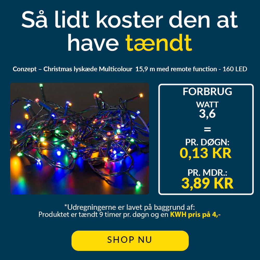 Conzept Christmas – Mehrfarbige Lichterkette mit Fernbedienung – 160 LEDs