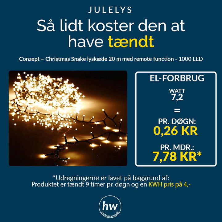 Conzept – Kerstverlichting lichtsnoer 20 m met afstandsbediening – 1000 leds