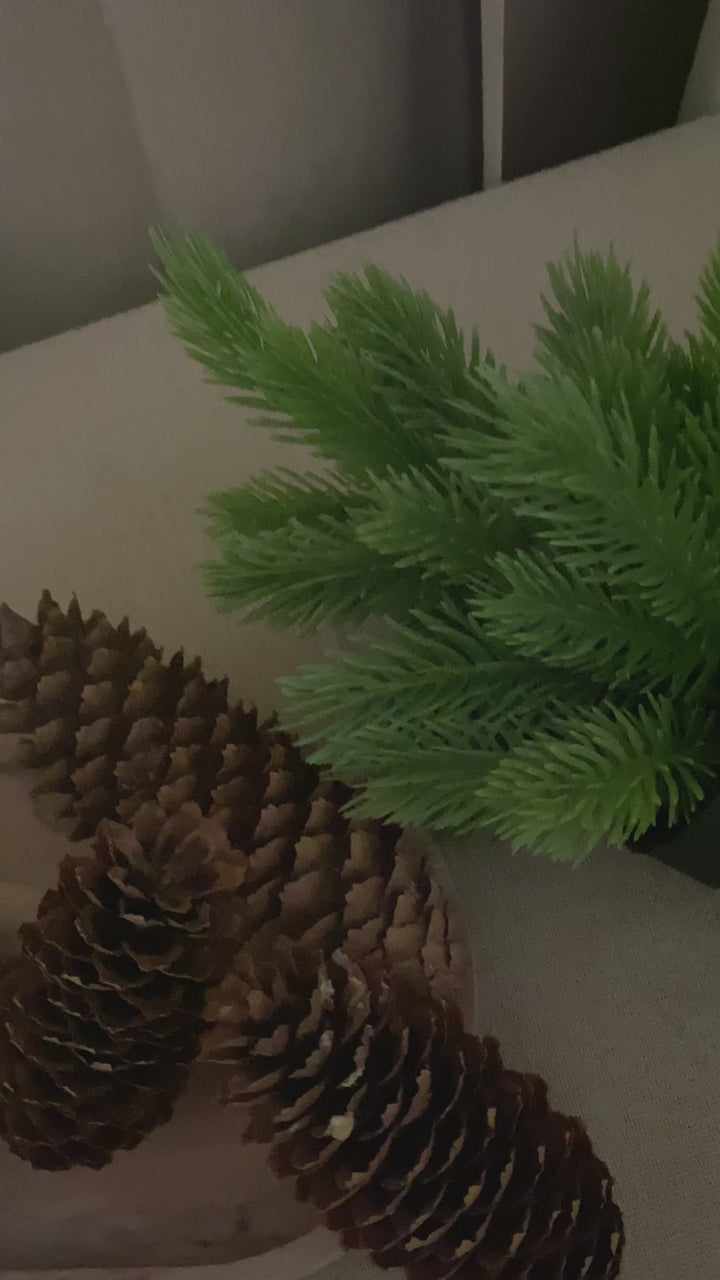 Led-kalenderverlichting met kerstslinger – met afstandsbediening