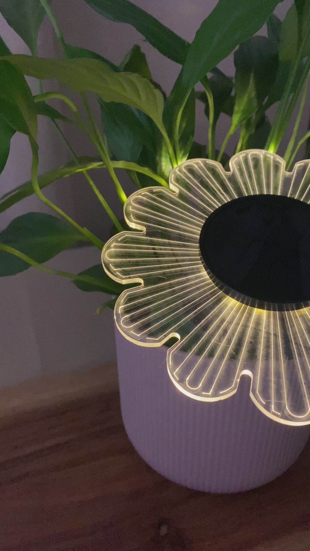 Conzept – Solarlampe für Wand oder Boden Ø15x2,8x14 cm 12 LED