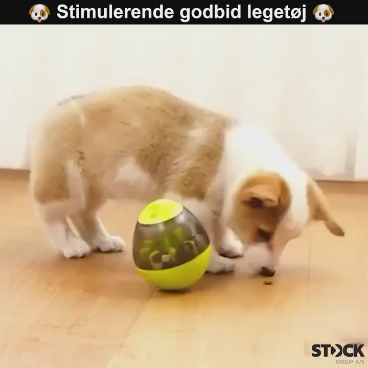 Leckerli-Aktivitätsball