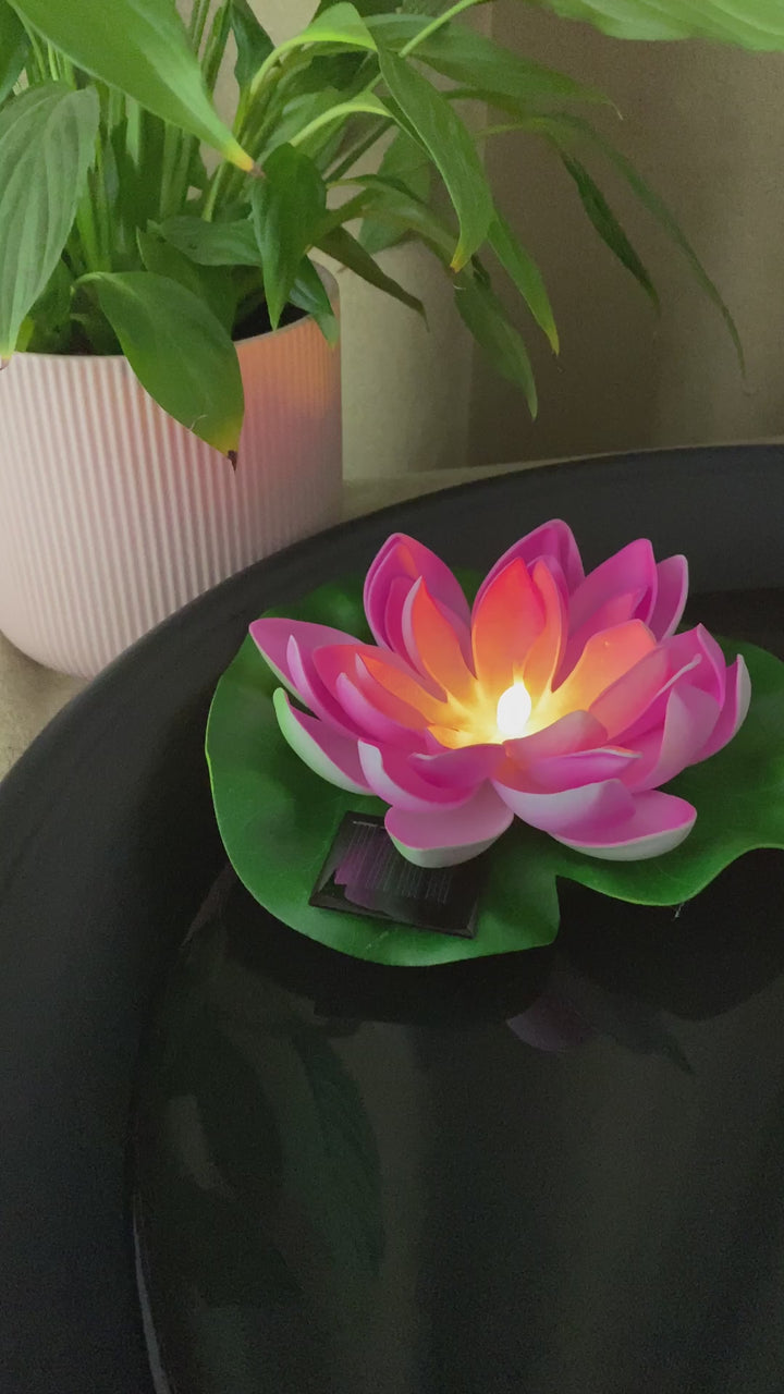 Conzept - Solar-Lotusblume Ø17 cm pink 2 Stk.