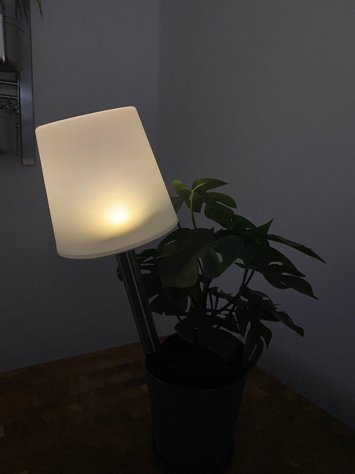 Conzept Solarlampe mit Speer 15x15x41,5 cm