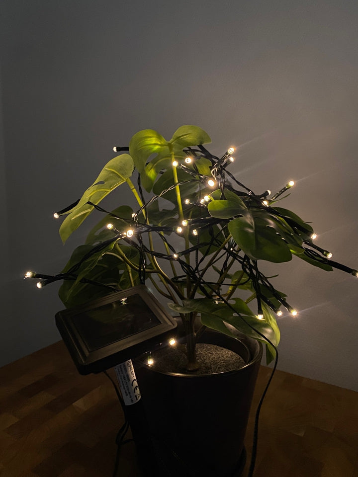 Conzept Solar-Lichterkette 50xLED warmweiß - 6,9 m