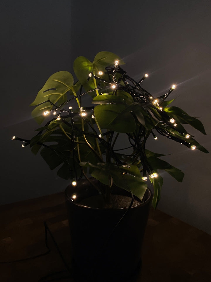 Conzept Solar-Lichterkette 50xLED warmweiß - 6,9 m